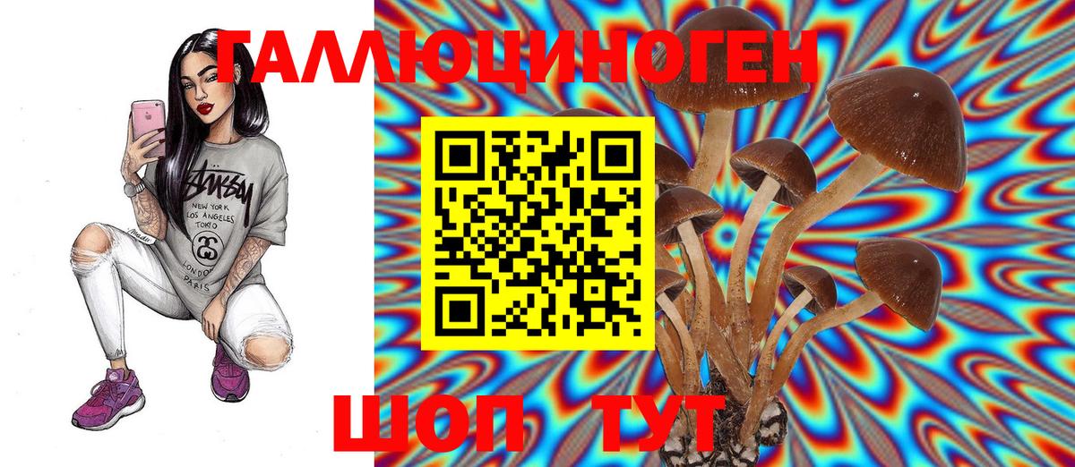 Ростов-на-Дону  Галлюциногенные грибы Psilocybe  Галлюциногенные грибы Cubensis  Вход с VPN 