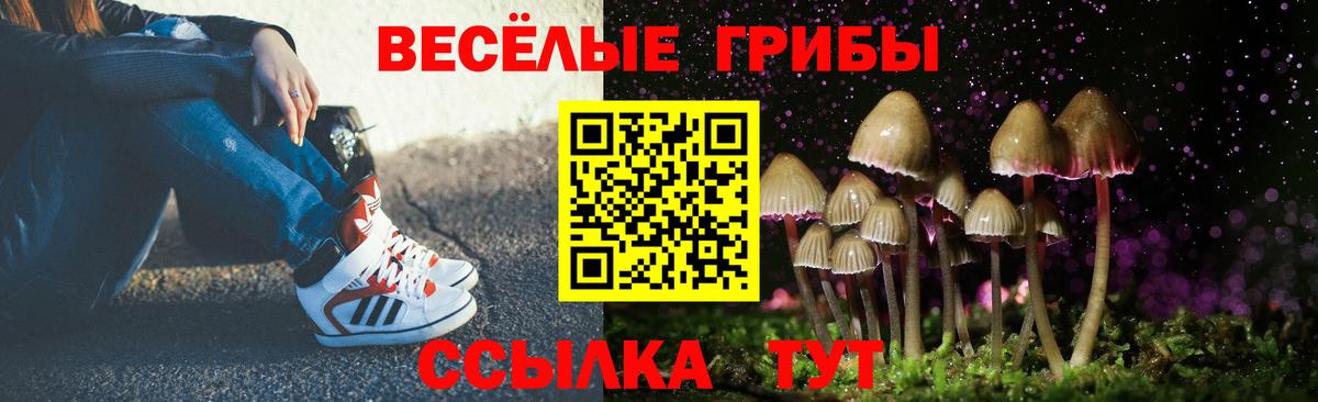 Псилоцибиновые грибы Psilocybine cubensis  Ростов-на-Дону  Галлюциногенные грибы мицелий 